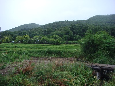 20100616-6.14-4.jpg