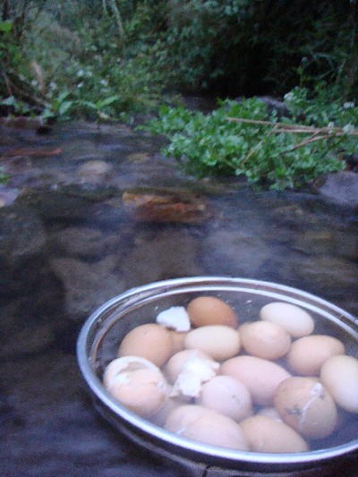 20100616-6.14-6.jpg 20100616-6.14-6.jpg