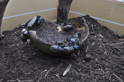 20100726-03.jpg 20100726-03.jpg