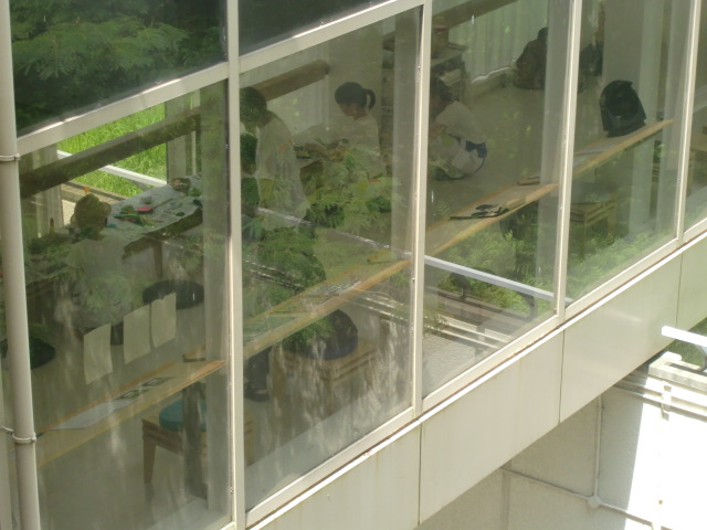 20100727-CIMG0719.JPG 20100727-CIMG0719.JPG