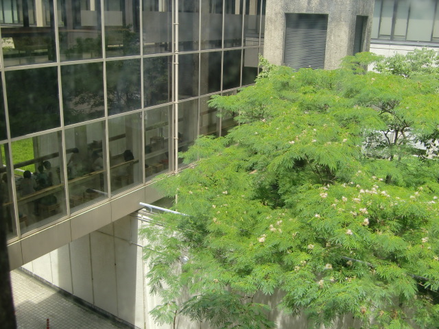 20100727-CIMG0721.JPG 20100727-CIMG0721.JPG