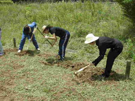 20100615-開墾blog.jpg 20100615-開墾blog.jpg