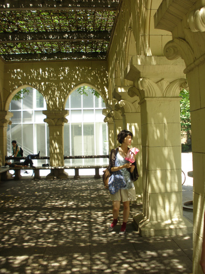 20100903-東大の藤棚.jpg 20100903-東大の藤棚.jpg