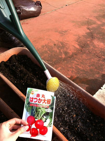 20111109-AdyXLzACMAAzWhB.jpg-large.jpeg 20111109-AdyXLzACMAAzWhB.jpg-large.jpeg