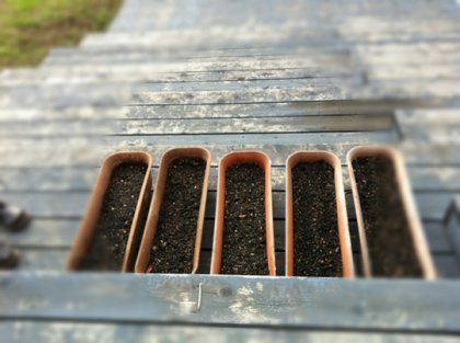 20111109-securedownload-1.jpeg 20111109-securedownload-1.jpeg