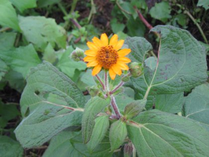 20111114-IMG_0470.JPG 20111114-IMG_0470.JPG