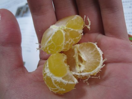 20111114-IMG_0480.JPG 20111114-IMG_0480.JPG