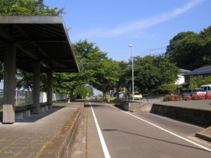 りんりんロード