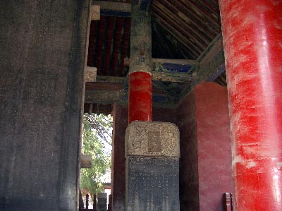 Architype_Renner_r