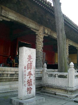 听