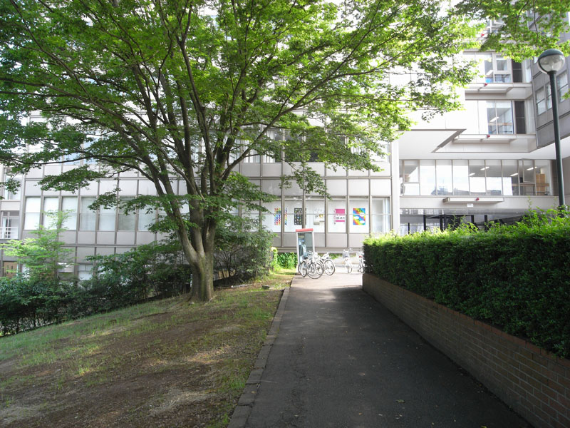 R0011038