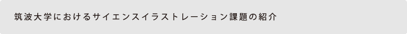 筑波大学におけるサイエンスイラストレーション課題の紹介