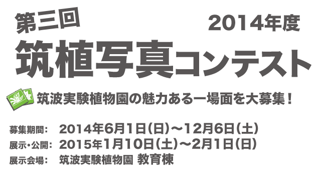 ��W���ԁF2012�N5��4���i���j�`11��19���i���j�W�����F�}�g�����A���� ���瓏�W���E���J�F2015�N1��10���i�y�j�`2015�N2��1���i���j