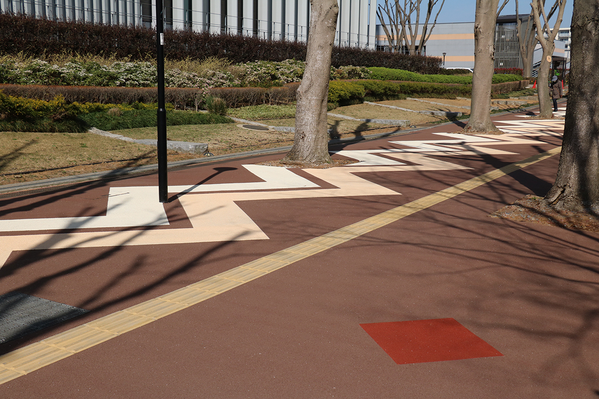 NHK Eテレ　趣味どきっ！『まんぽ旅』2024年11月に出演