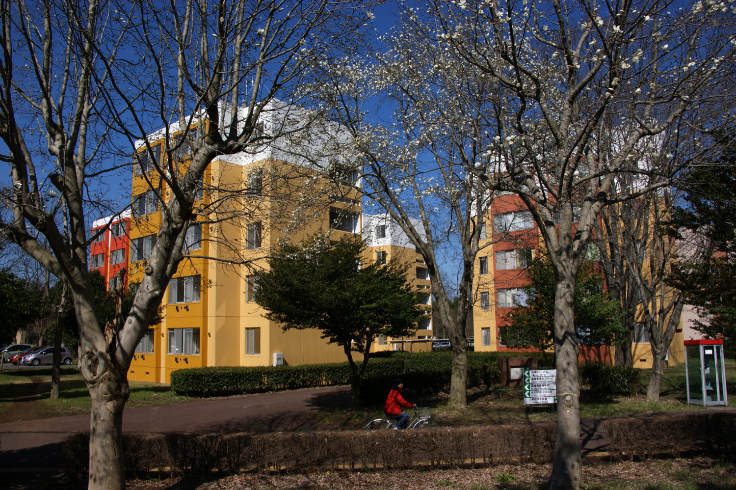 筑波大学 学生宿舎 外壁色彩計画